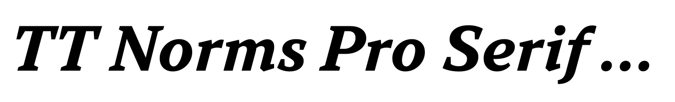 TT Norms Pro Serif Bold Italic